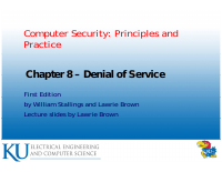 Denial of Service.pdf